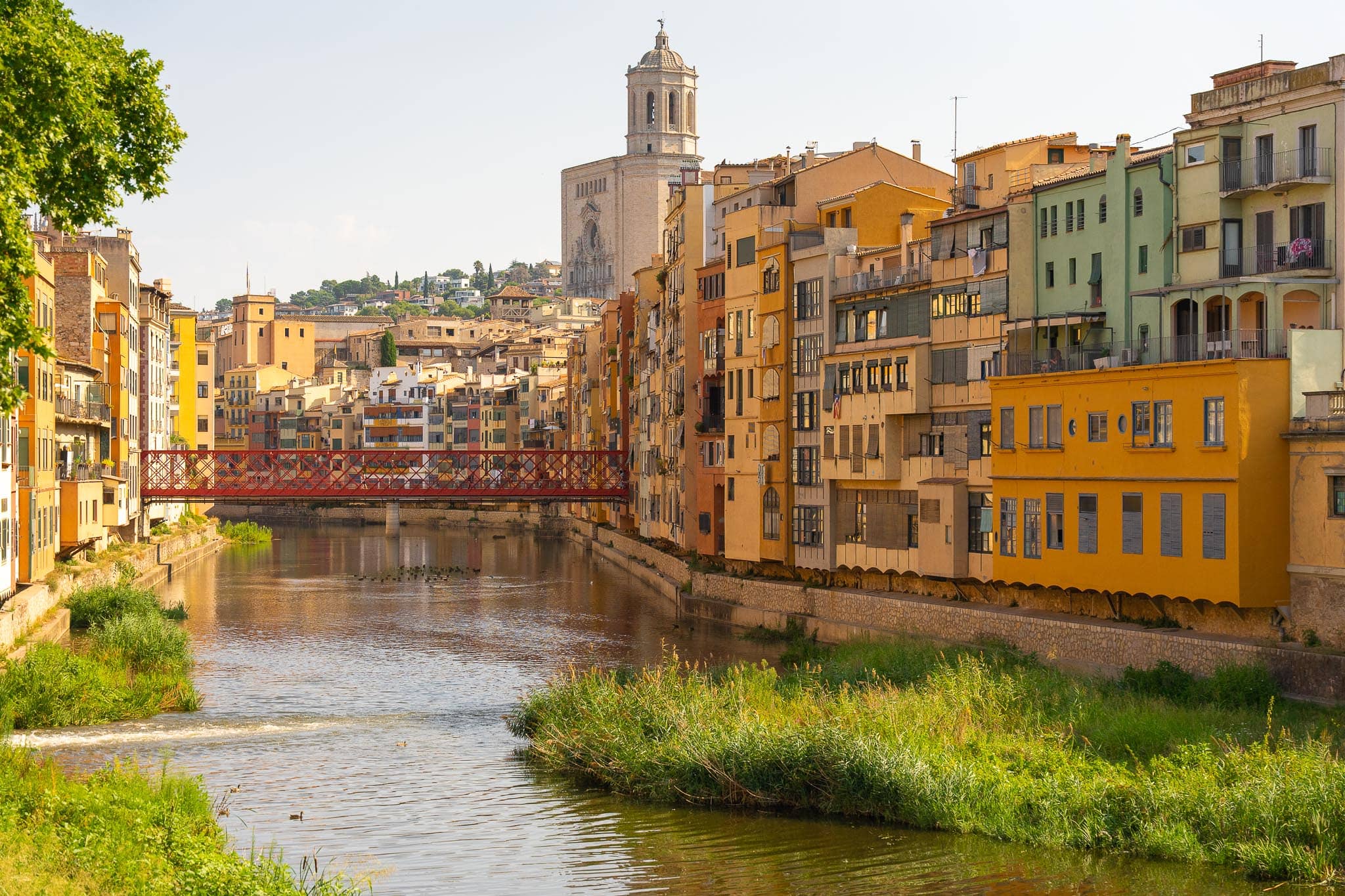 The painted houses of Girona in ochre, yellow and green rising straight out of the Onyar river, with a red iron footbridge and the cathedral tower behind.
