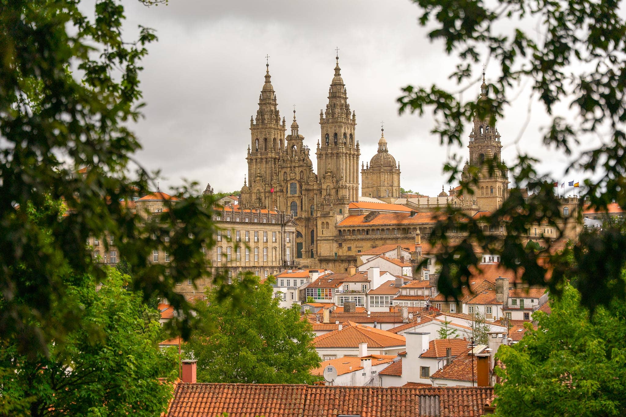 The stone spires of Santiago de Compostela cathedral rising above terracotta rooftops, framed by dark green foliage under a grey sky.