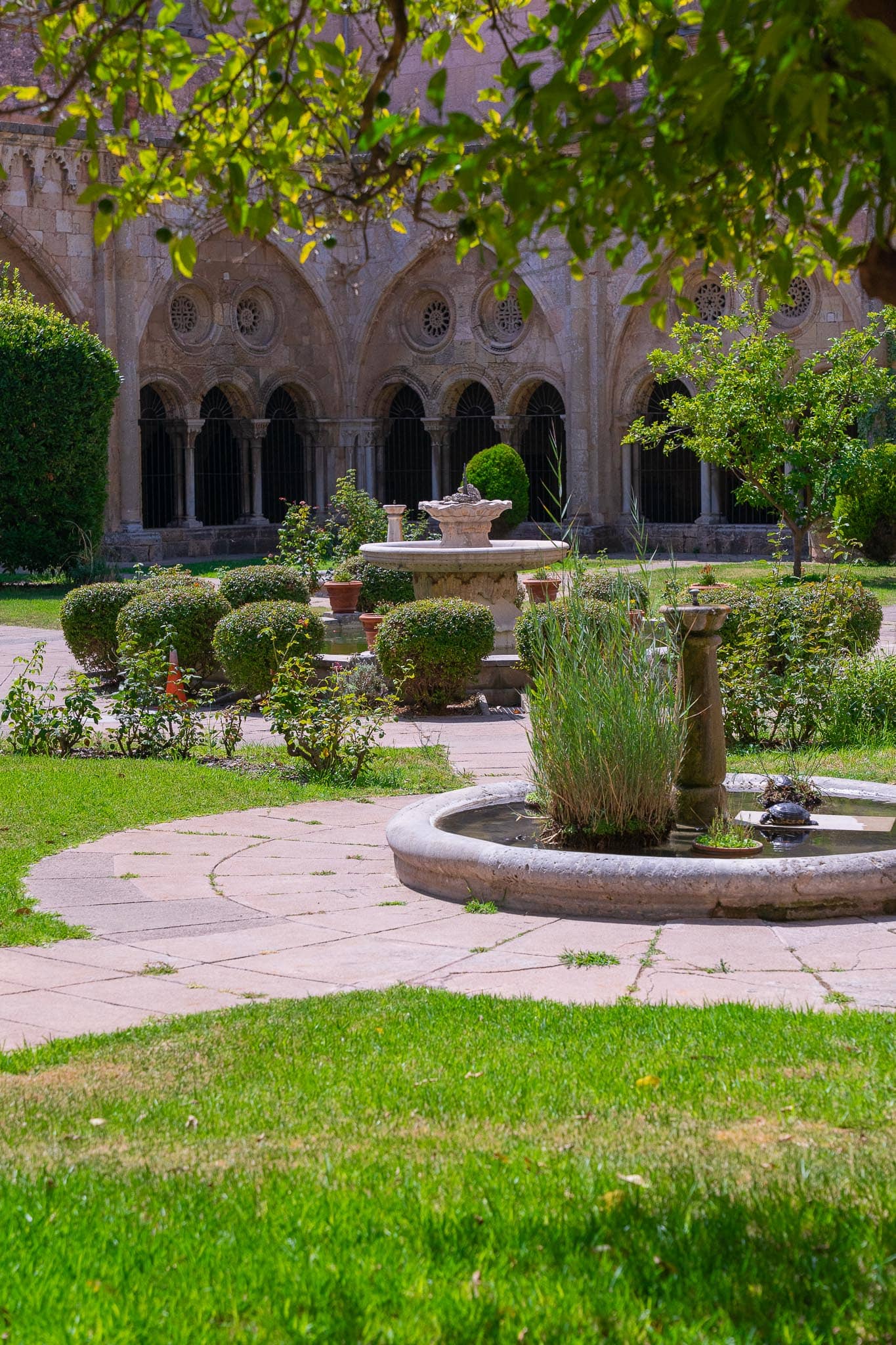 The cloister garden of Tarragona cathedral: clipped shrubs, a stone fountain and grass enclosed by rounded Romanesque arcading.