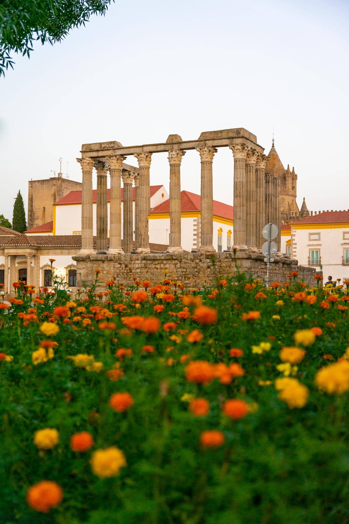 The Corinthian columns of the Roman temple in Evora standing above whitewashed buildings, with a bed of orange and yellow marigolds in the foreground.
