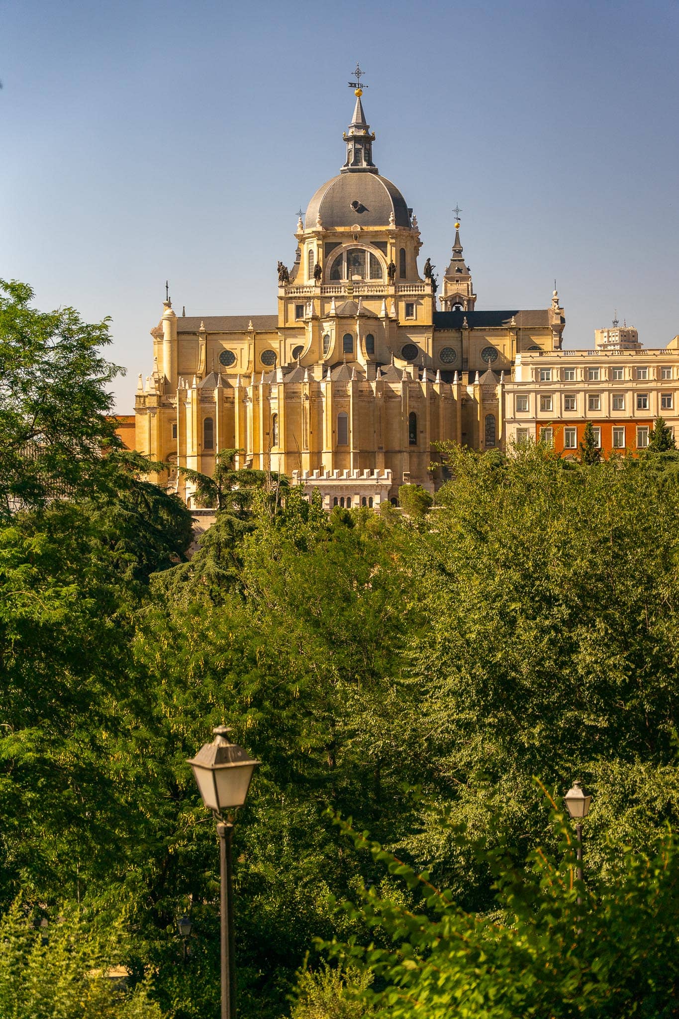 The dome and pale stone flank of the Catedral de la Almudena in Madrid rising above dense green treetops in late afternoon light.