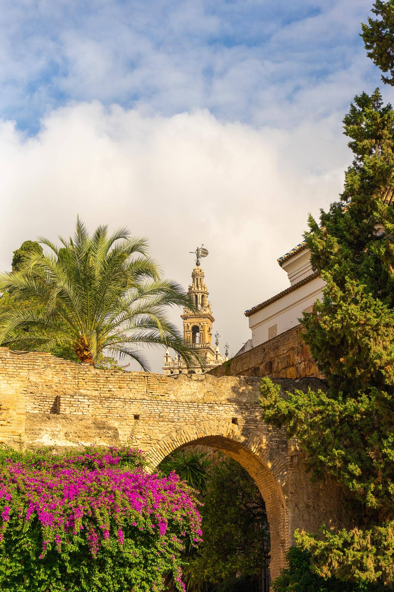 The upper stage of the Giralda rising beyond a weathered brick wall with a low arch, framed by a date palm, a cypress and a mass of magenta bougainvillea.