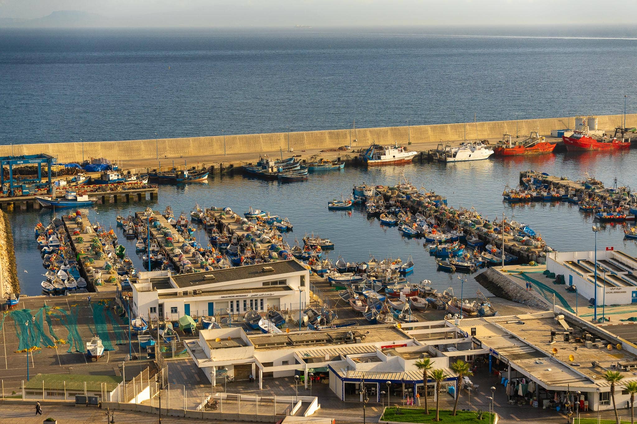 The fishing port of Tangier from above: dozens of small blue and white boats packed inside the harbour arms, with sheds and nets on the quay and open sea beyond the breakwater.