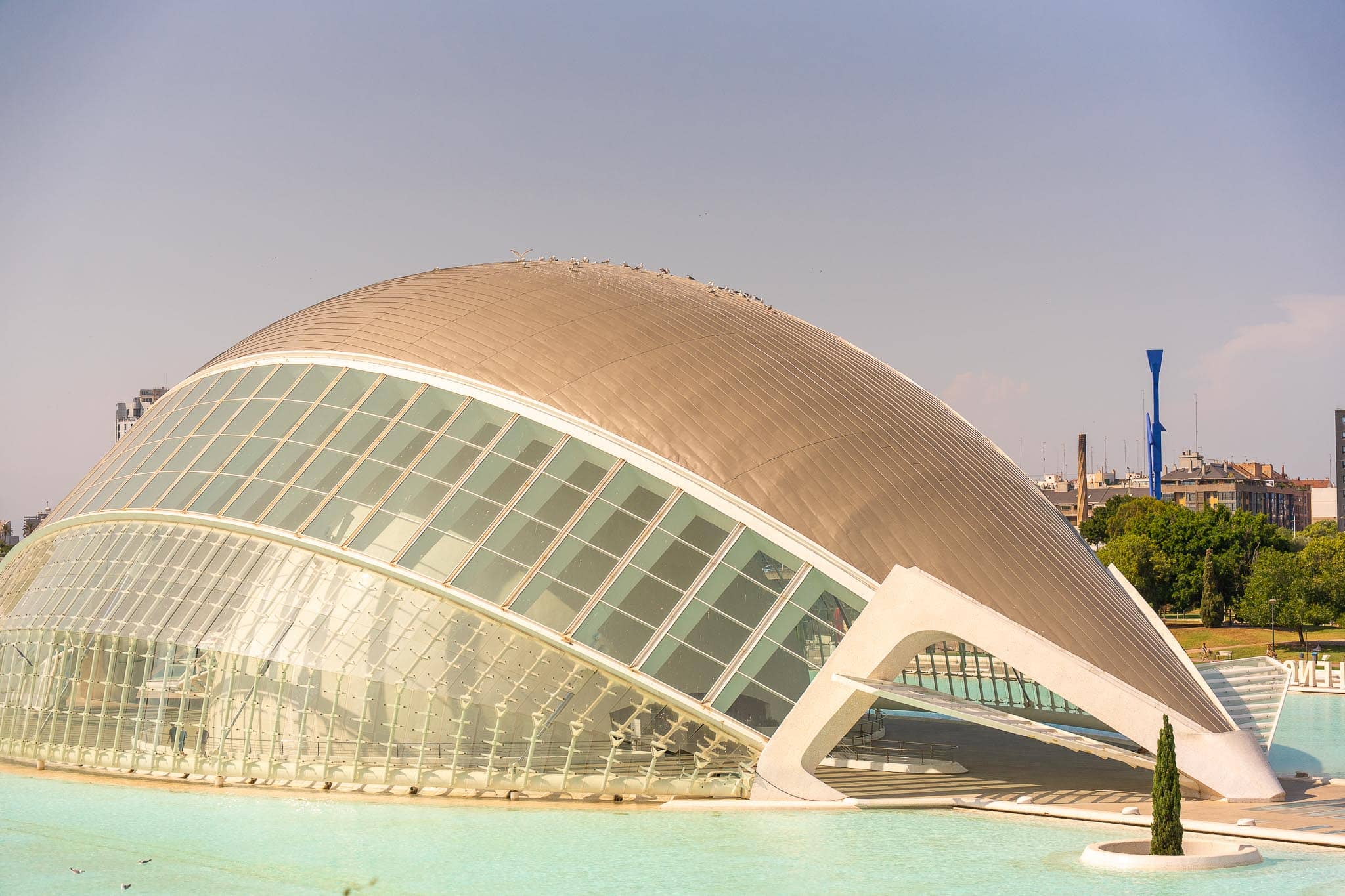 The white shell and glass eye of L'Hemisferic at the City of Arts and Sciences in Valencia, reflected in the shallow turquoise pool around it.