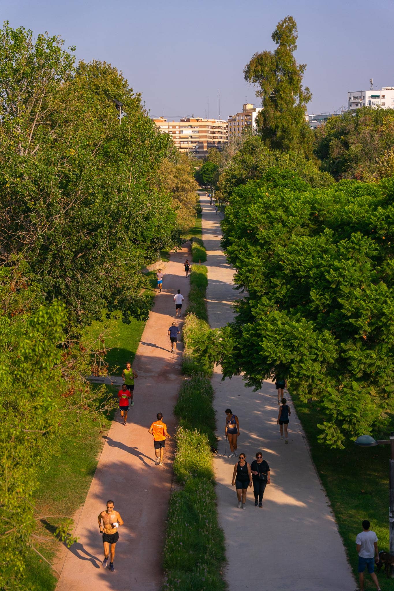 Looking down on the Turia gardens in Valencia: two curving paths through dense trees with people walking and running along them.