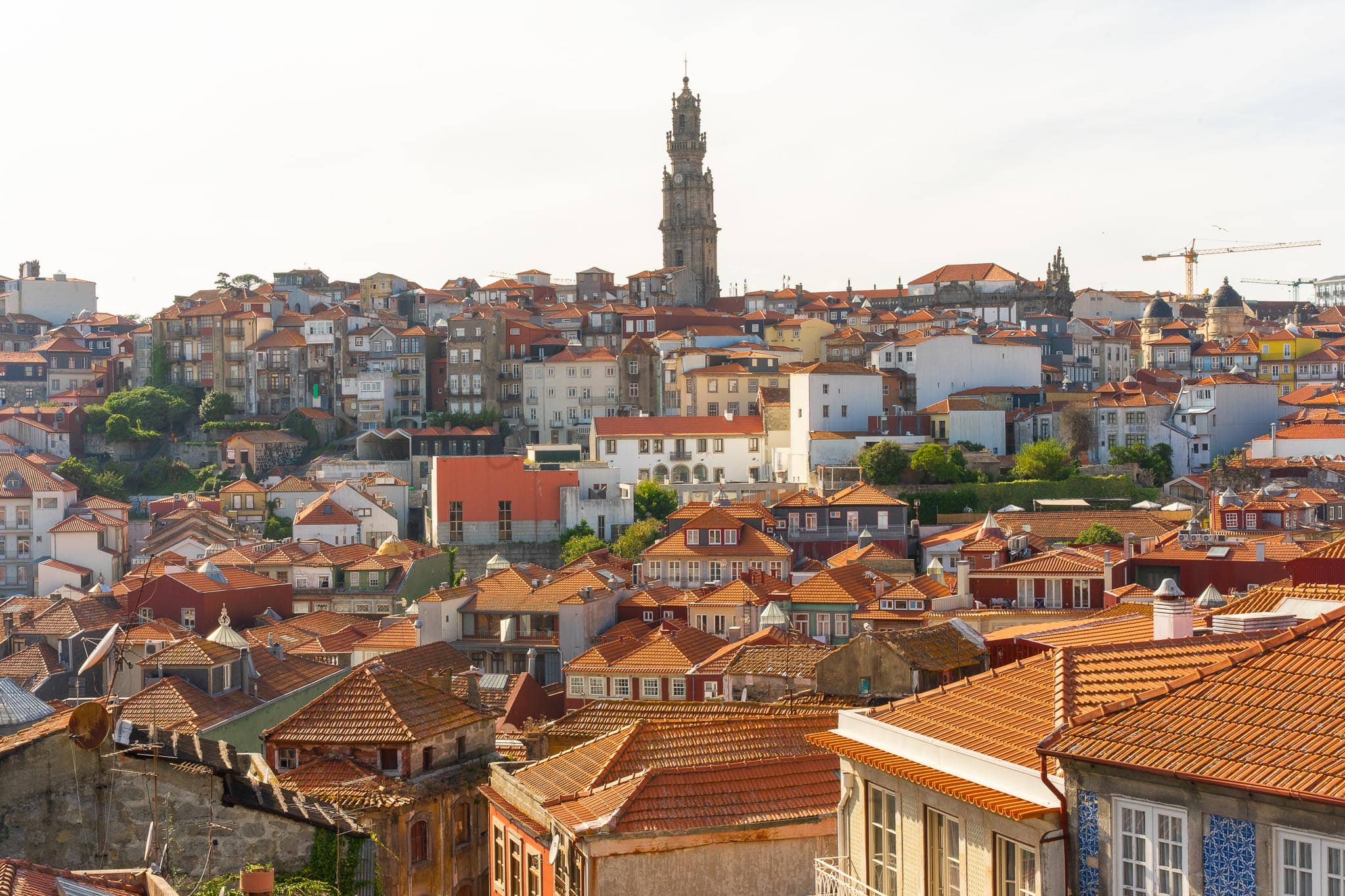 Terracotta rooftops of Porto stepping down a hillside with the tall baroque Torre dos Clerigos rising above them under a pale sky.