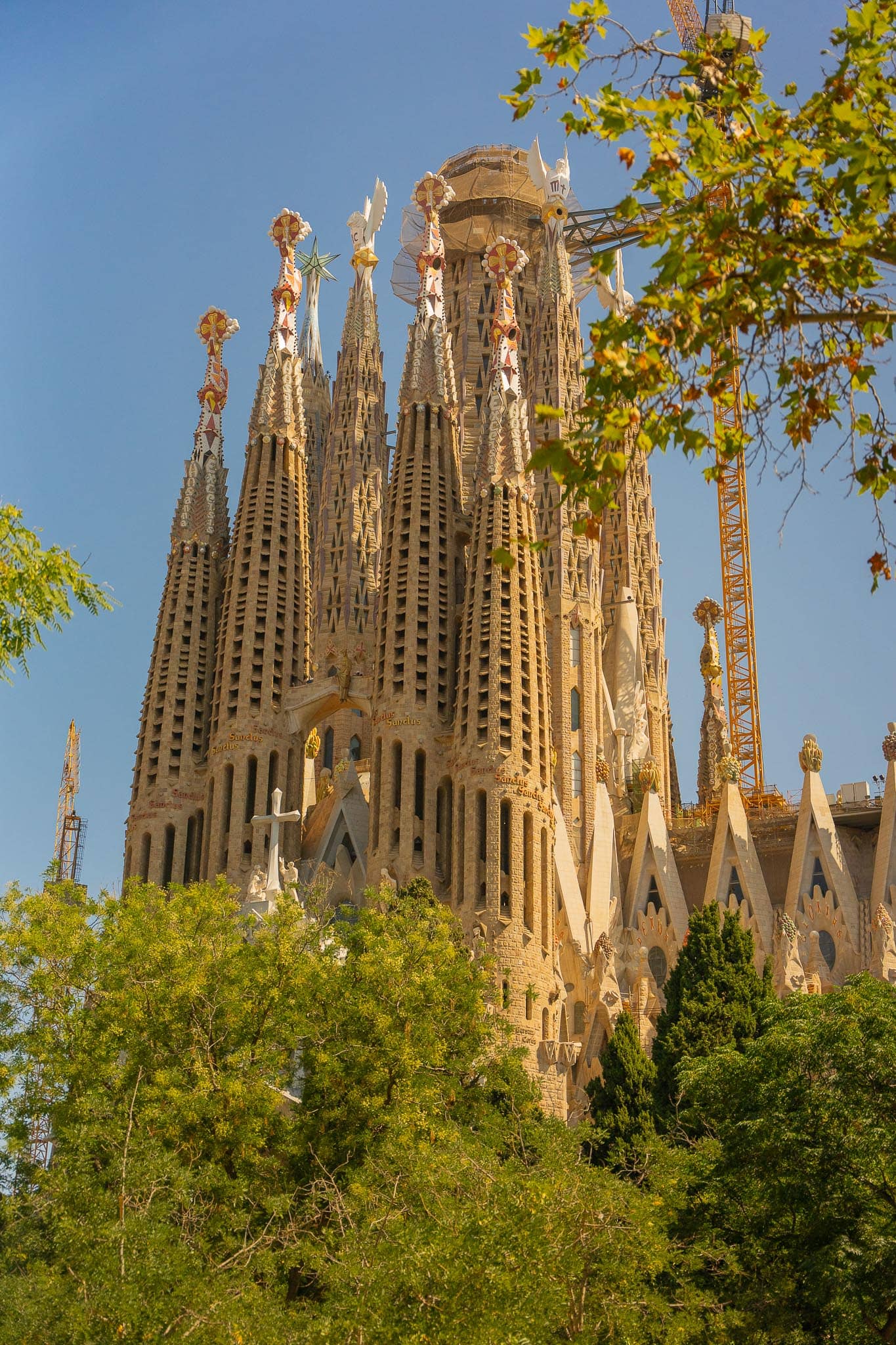 The stone spires and pinnacles of the Sagrada Familia in Barcelona rising above street trees, with construction cranes among the towers.