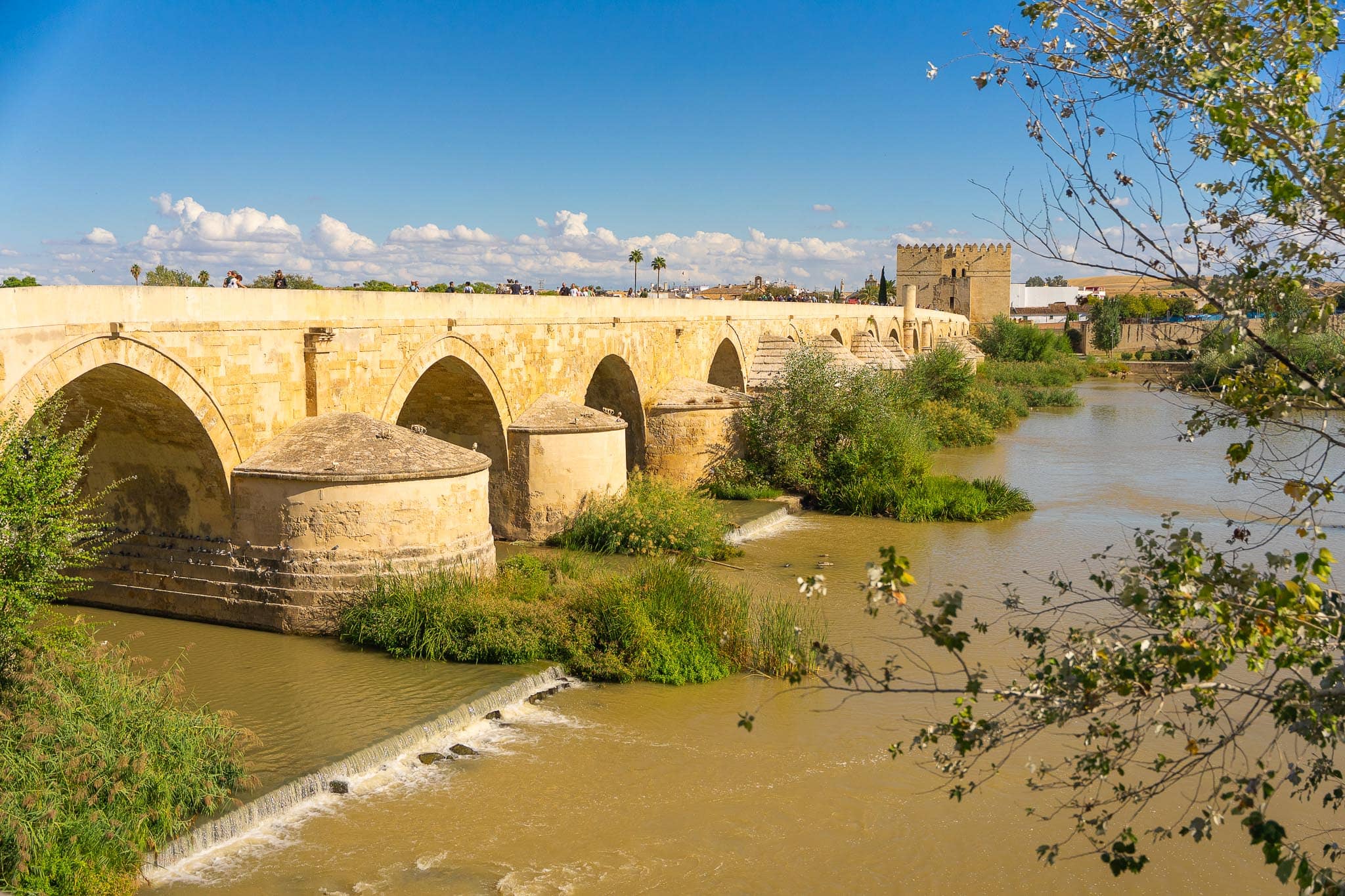 The Puente Romano at Córdoba in low afternoon light: a long honey-coloured stone bridge on wide arches with rounded pier buttresses, people walking along its parapet, the battlemented Torre de la Calahorra at the far end, and the shallow Guadalquivir running over weirs between reed islands.