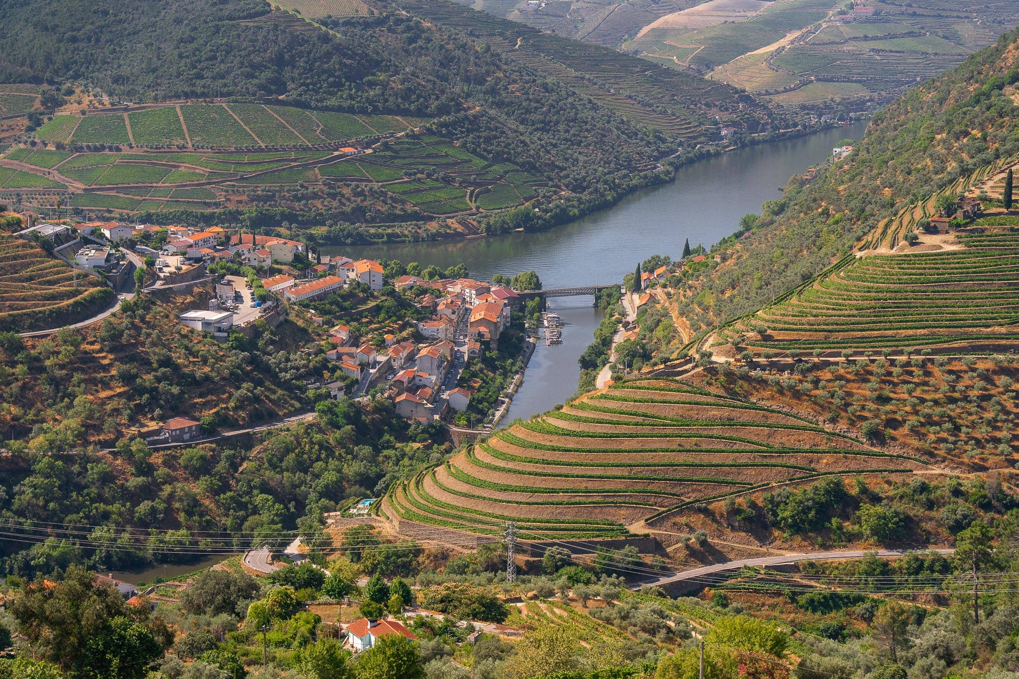 A village of white and terracotta houses on a bend of the Douro, surrounded on every slope by contour-lined terraced vineyards.