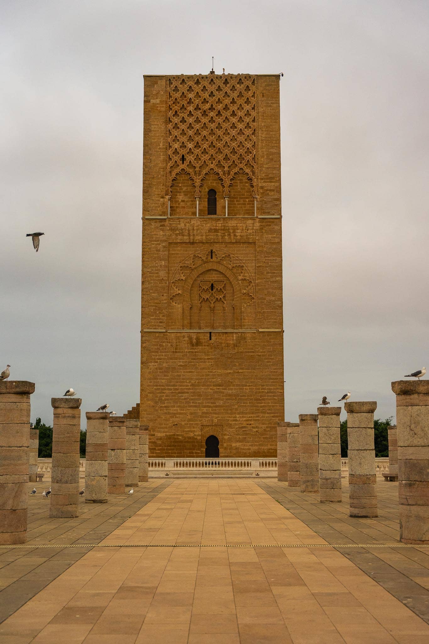 The unfinished Hassan Tower in Rabat, a square minaret of ochre stone with interlaced carved panels, standing at the end of a paved esplanade lined with truncated columns.